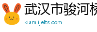 武汉市骏河桥梁钢构有限公司